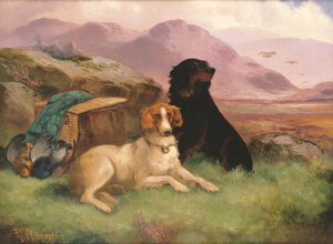 Gundogs (egy pár)